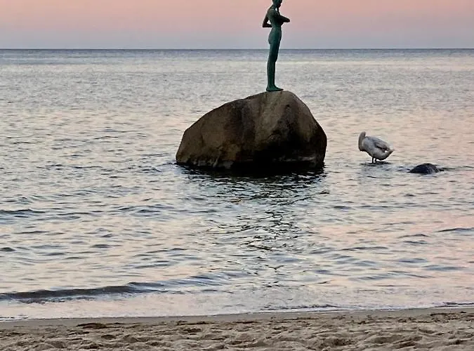 Strandhaus Manatee Mit Sauna Und Kamin 아파트 *